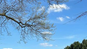 Un parcours de golf avec un ciel dégagé, une pelouse bien entretenue et quelques arbres.