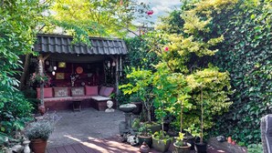 A cozy outdoor seating area with a wooden bench and a small covered structure, surrounded by lush greenery and potted plants. - Lovely home in Sneek with WiFi (Sneek)