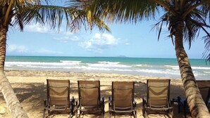 Una playa con cuatro tumbonas alineadas bajo palmeras, con vista al océano.