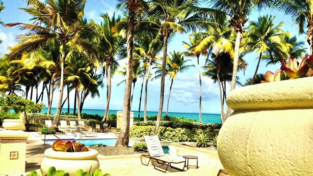 Área de piscina en un resort con sillones de descanso y palmeras, con vista al océano.