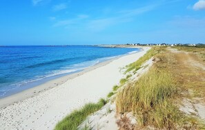 Tæt på stranden, fiskeri