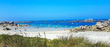 Beach nearby, fishing