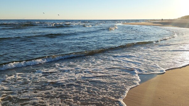A beach with waves gently lapping onto the shore, a clear sky, and a distant pier.