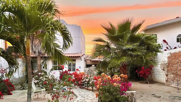 A courtyard with a stone pathway, palm trees, and flowering plants. - Room #1 two blocks from the Malecon (La Paz)