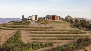 A modern house with a large patio area, surrounded by terraced vineyards.