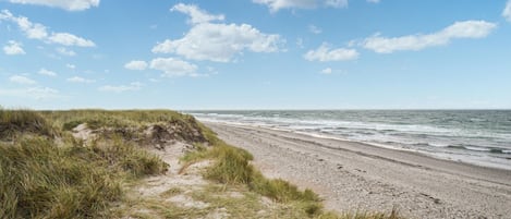 Ubicación cercana a la playa y pesca