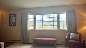 Smart TV, fireplace, books, computer monitors