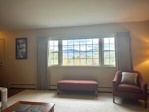 TV connectée, cheminée, livres, écrans d'ordinateur