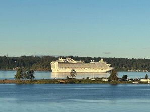 1 bedroom, desk, iron/ironing board, free WiFi - Ridge View Suite Seascape Panorama with Covered Deck  (Campbell River)