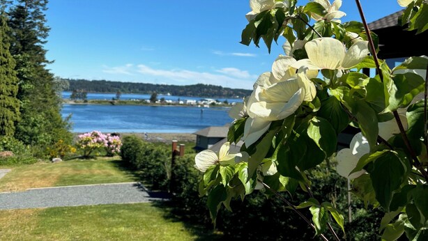 A garden with white flowers and a view of a lake and distant buildings. - Ridge View Suite Seascape Panorama with Covered Deck  (Campbell River)