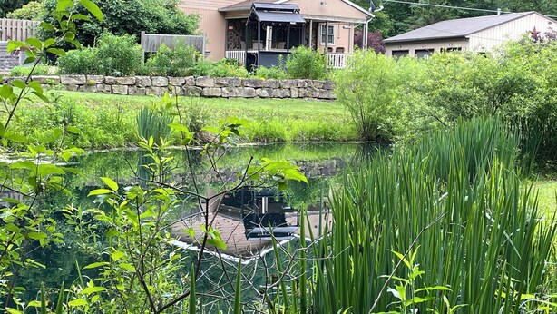A residential area with a pond, a stone wall, and houses with a porch.