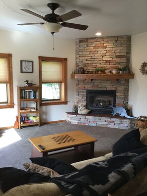 Smart TV, fireplace, video games, books