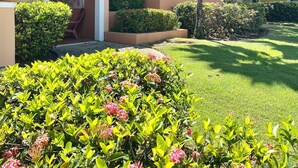 A two-story building with a beige facade, a balcony on the second floor, and a well-maintained garden with various plants and a lawn. - Fairway Courts Studio in Palmas del Mar- Great Pool, Just Mins to Hotel/Beach (Humacao)