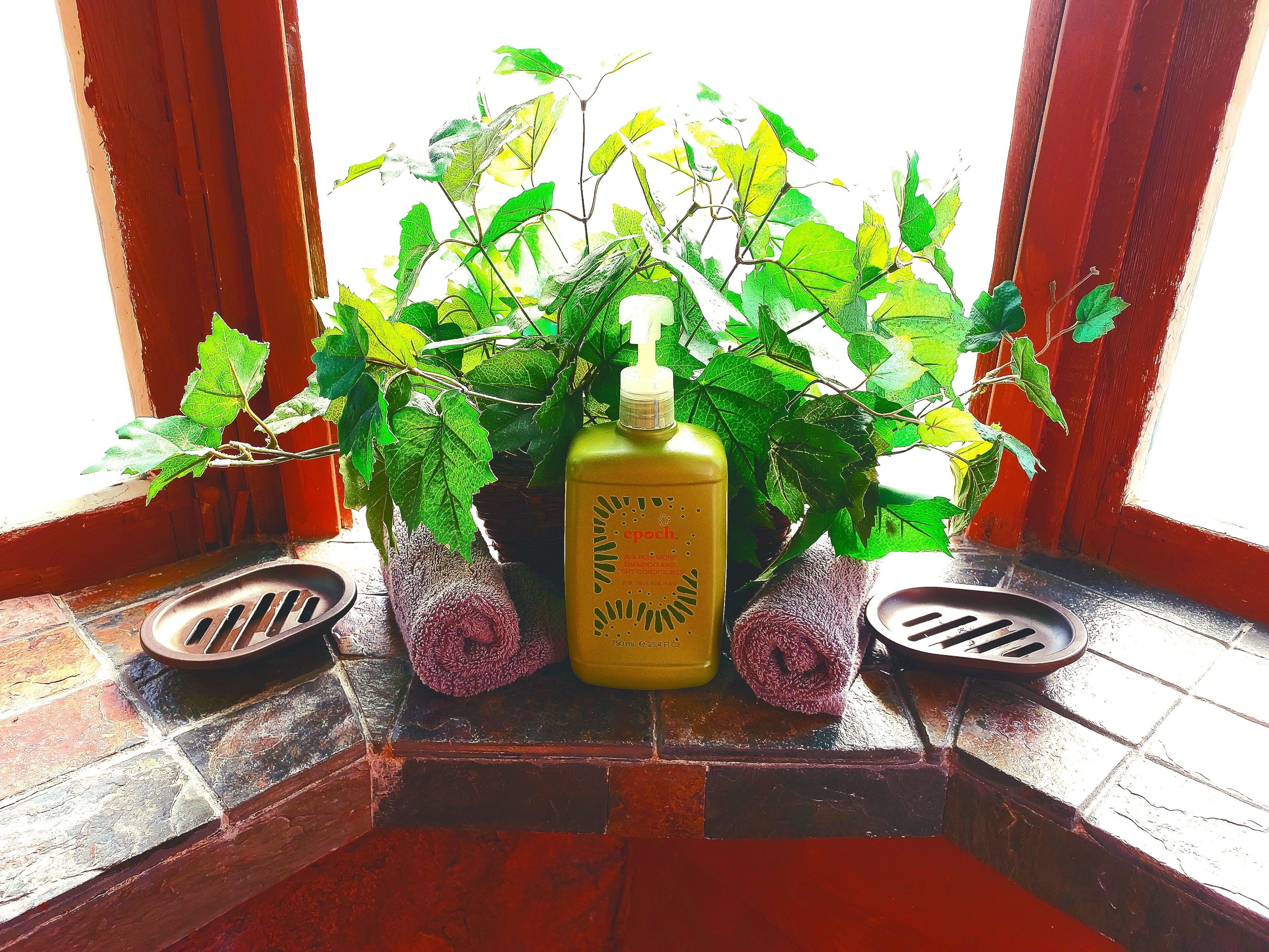 Un alféizar con una planta en maceta, una botella de aceite y dos bandejas metálicas.