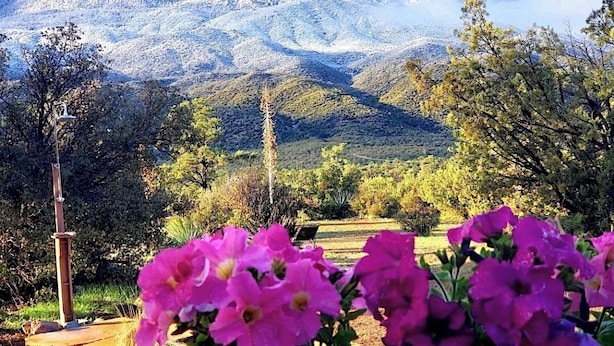 A garden with pink flowers in the foreground and a mountainous landscape in the background.