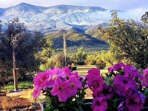 Un jardín con flores rosadas en primer plano y un paisaje montañoso al fondo.