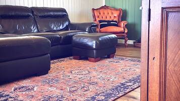 TV, fireplace, DVD player, books