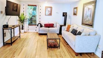 TV, fireplace, books