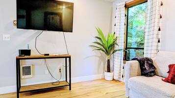 TV, fireplace, books