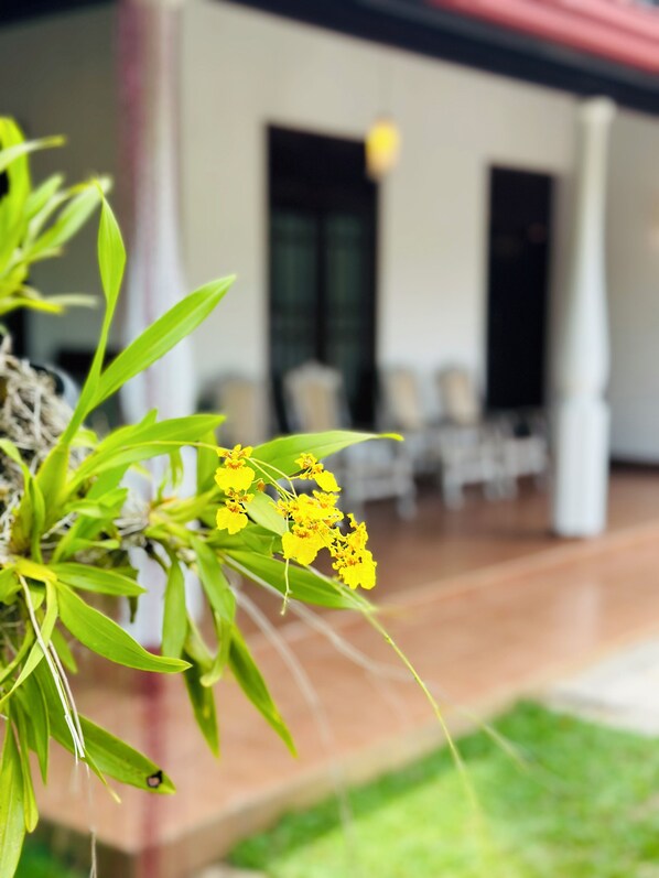 Exterior detail - CASA WINNIE with a beautiful garden (Kelaniya)