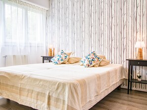 1 chambre, fer et planche à repasser