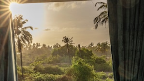 Un balcon offrant une vue sur un paysage luxuriant, avec des palmiers et une clôture blanche.