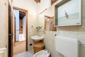 Shower, hair dryer, bidet, towels