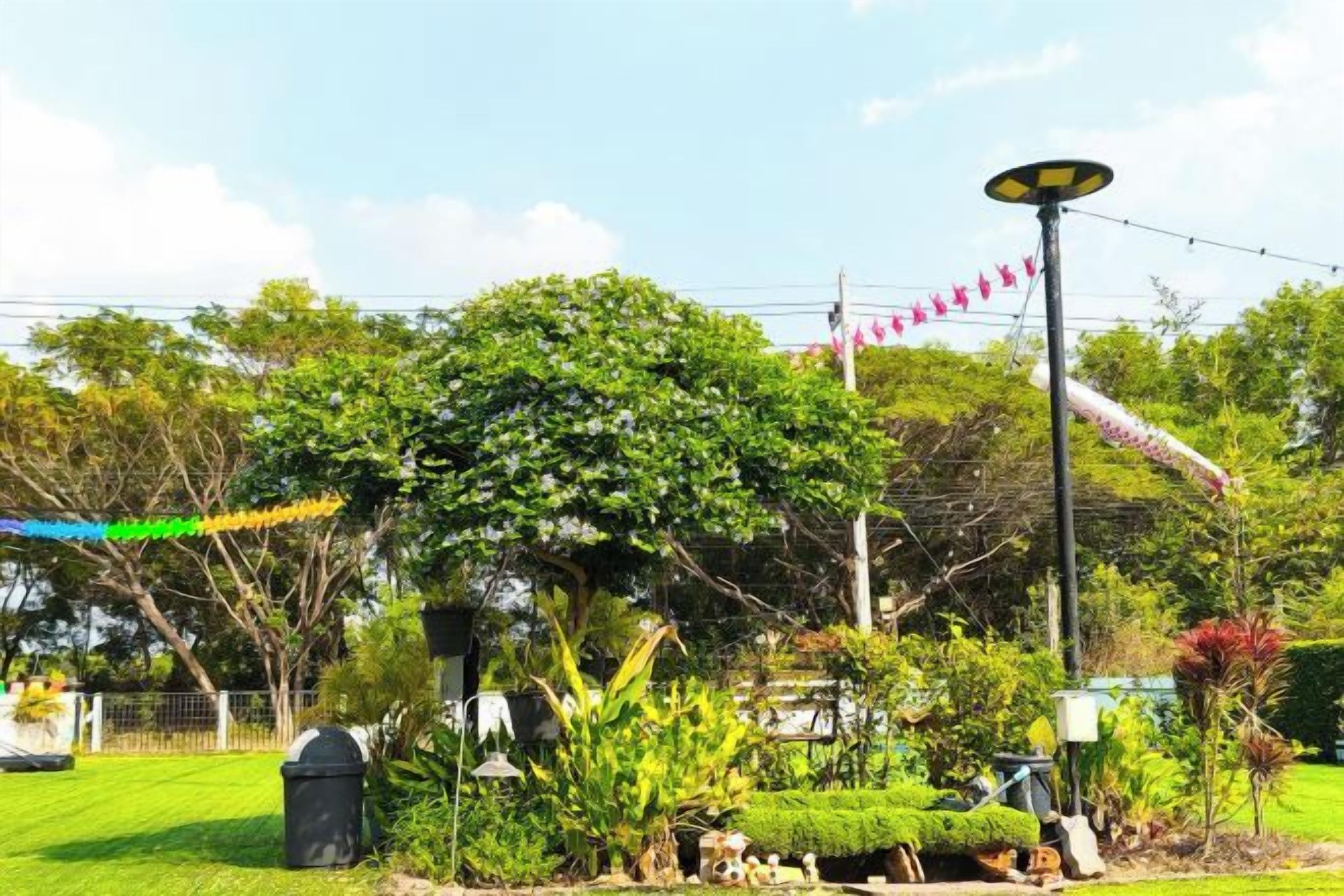 A well-maintained garden with a variety of plants and a street lamp.