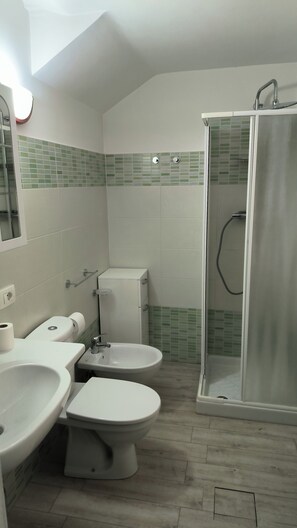 Shower, hair dryer, bidet, towels