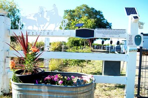 Enceinte de l’hébergement