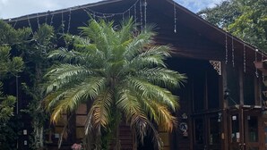 A building with a wooden facade, a palm tree in the front, and a pathway leading to the entrance. - Rancho Fernandez (Jarabacoa)