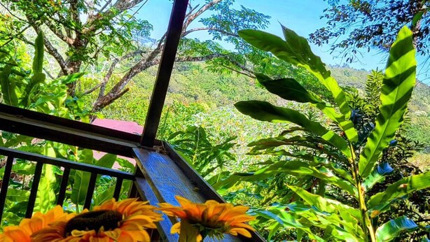 A wooden balcony with a view of lush greenery and a wooden railing. - Rancho Fernandez (Jarabacoa)