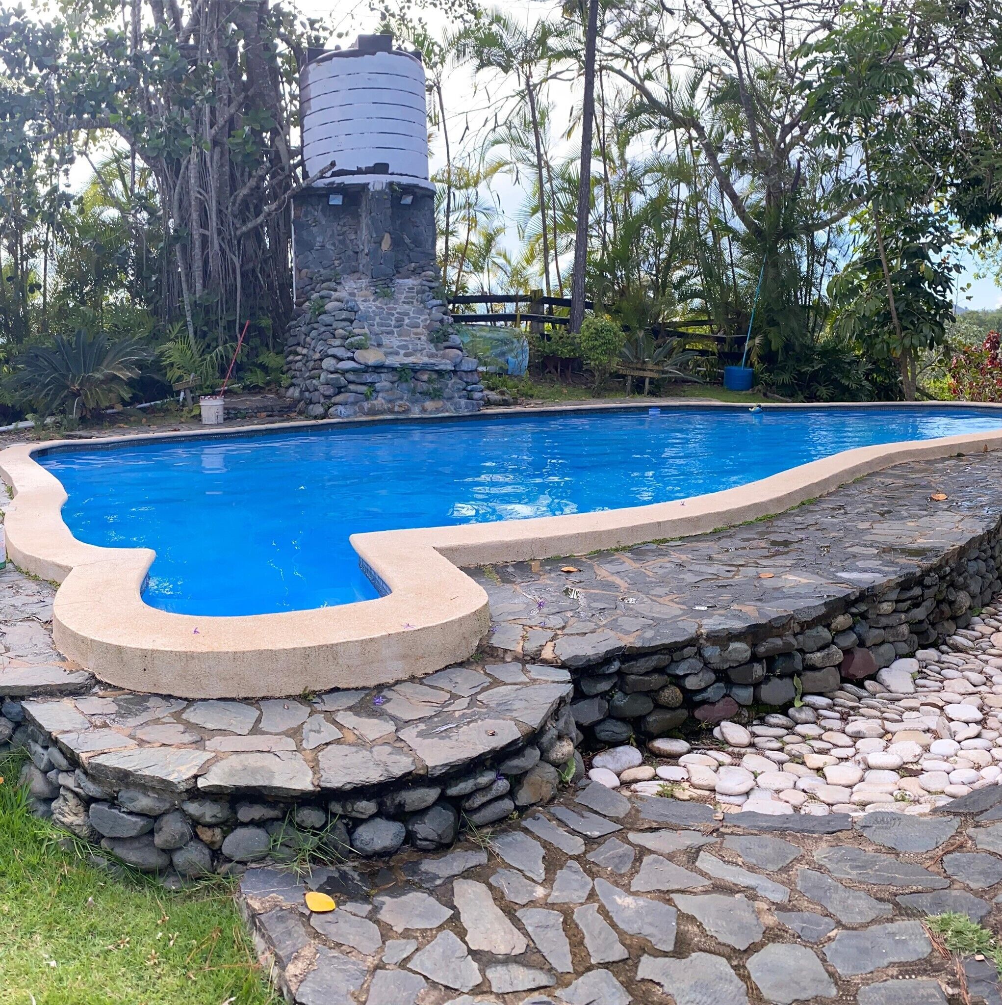 Hồ bơi ngoài trời 