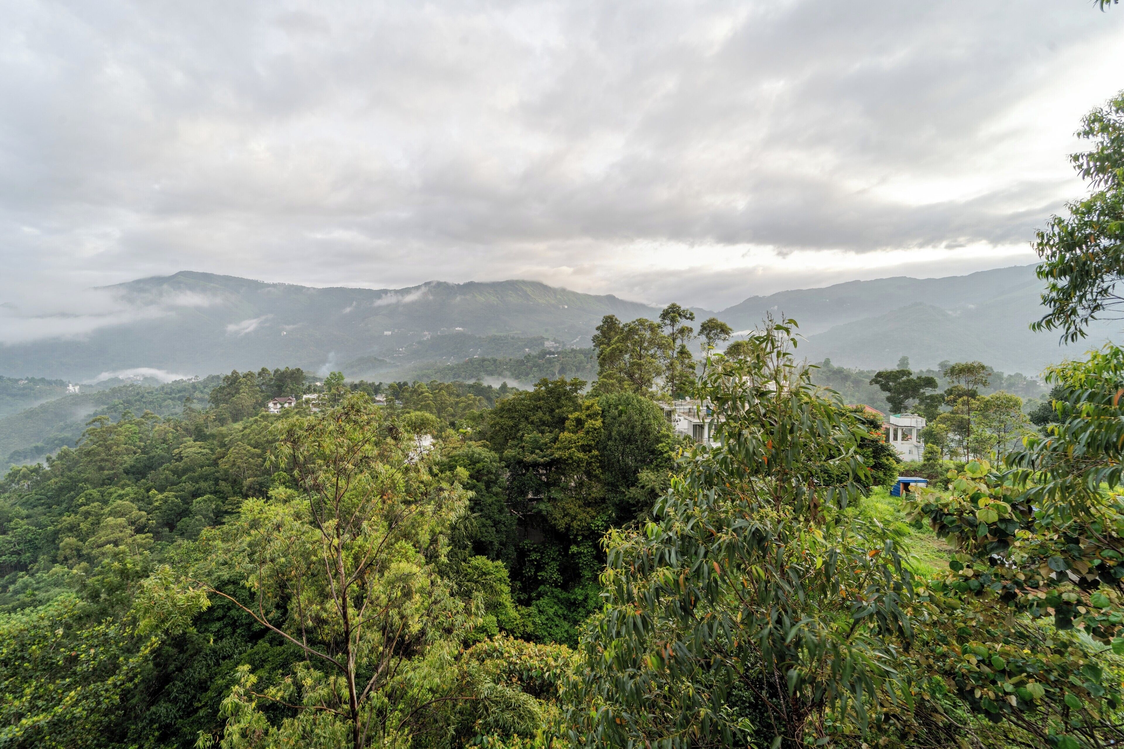 A lush, green landscape with a white building nestled among dense foliage.