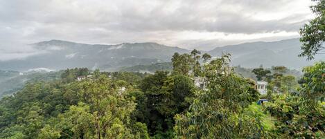 A lush, green landscape with a white building nestled among dense foliage.