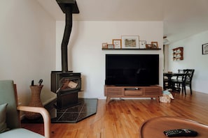 Smart-tv och eldstad