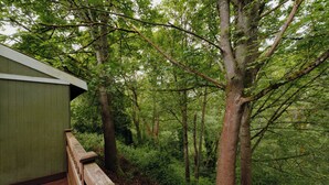A wooden deck with a green building adjacent to a forested area.