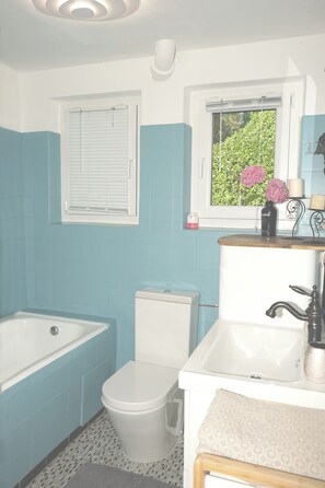 Hair dryer, towels, toilet paper