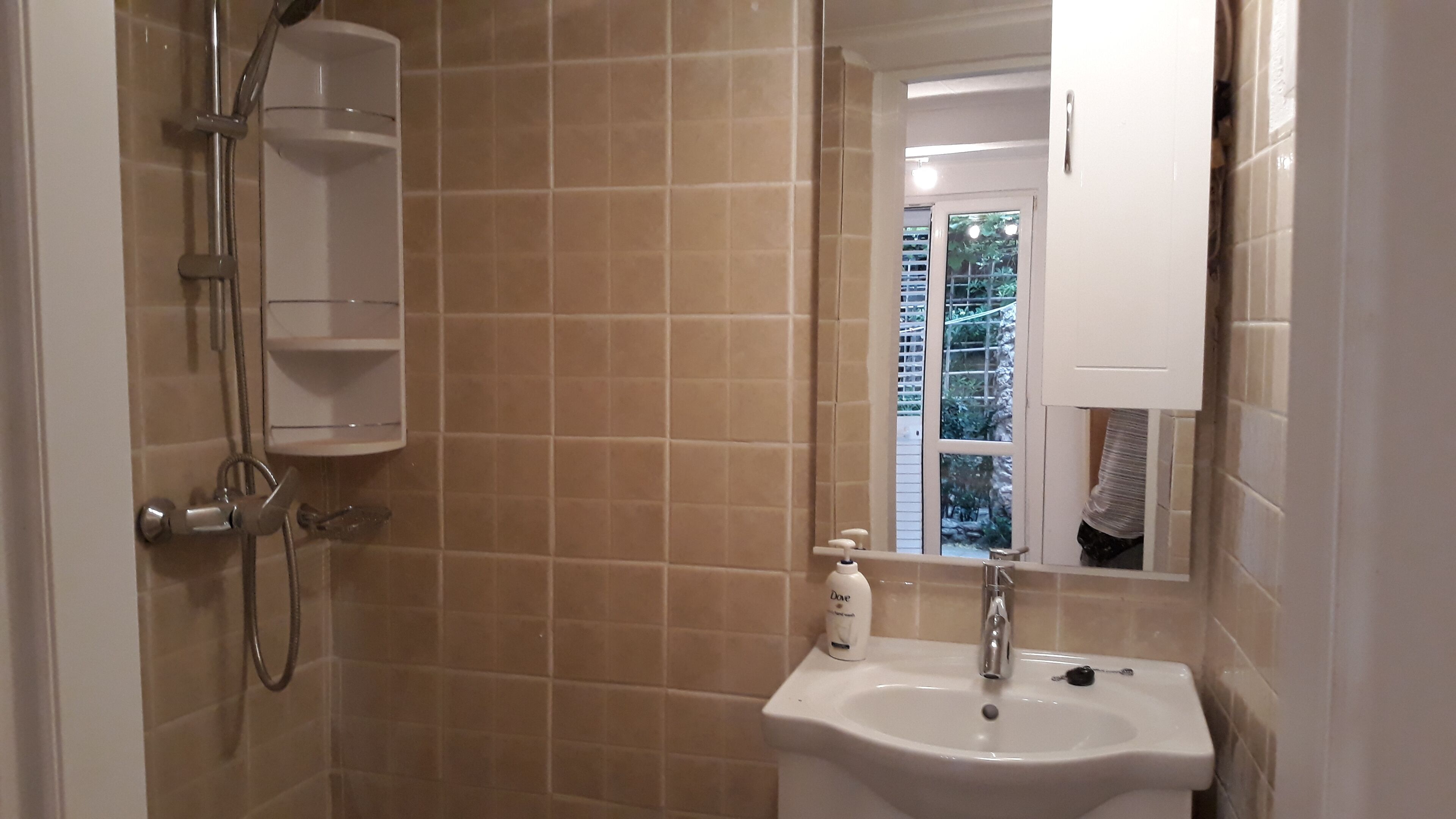 Une salle de bain avec une douche, un lavabo et un miroir.