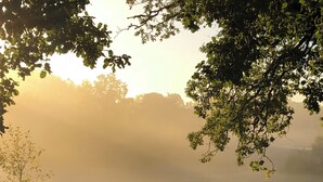 Ein Picknicktisch mit vier Stühlen in einer grünen Wiese, umgeben von Bäumen und einem nebligen Hintergrund.