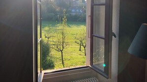 Ein offenes Fenster mit Blick auf ein grünes Feld und Häuser in der Ferne.