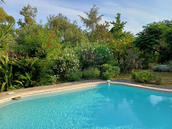 Pool - Villa with swimming pool and large garden (Antibes)