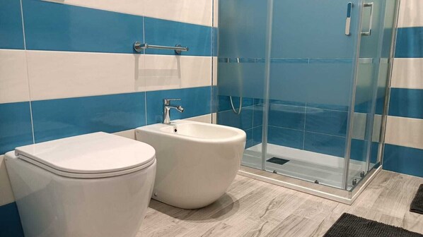 Shower, hair dryer, bidet, towels