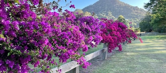 Rustic, Noosa Hinterland Farm Stay