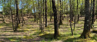 Casetta le sorgenti apartment in the hills in the heart of Tuscany