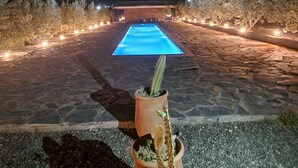 Ein Poolbereich bei Nacht mit freiem Blick auf das Schwimmbecken, umgeben von Topfpflanzen und Steinböden.