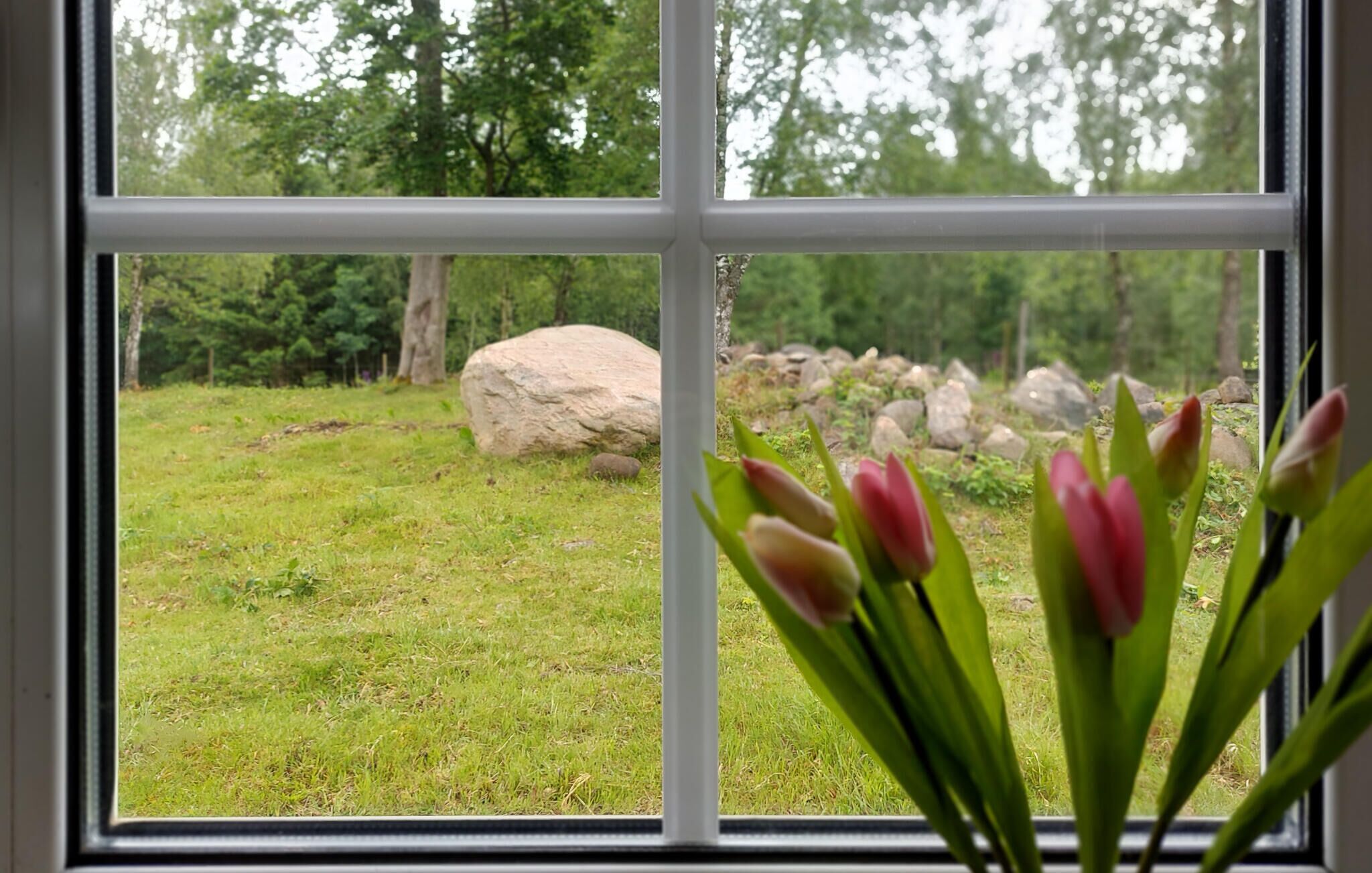 A window with a view of a grassy area, a large rock, and tulips in the foreground.