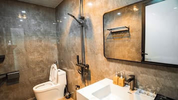 Shower, rainfall showerhead, hair dryer, slippers