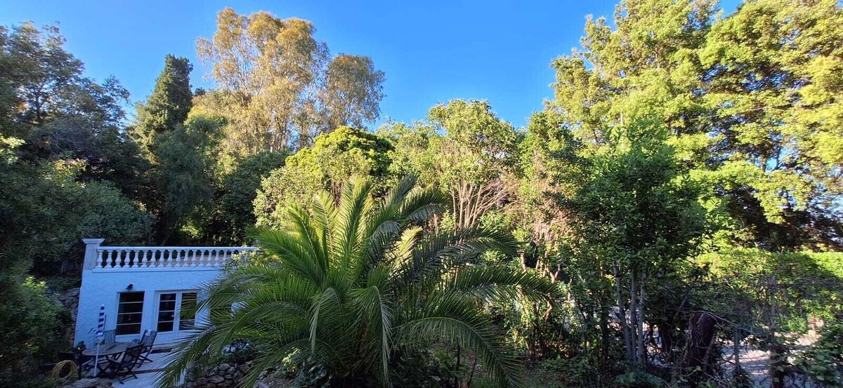 Imagen de perfil del propietario o de la propietaria