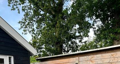 Studio Max in Egmond aan den Hoef